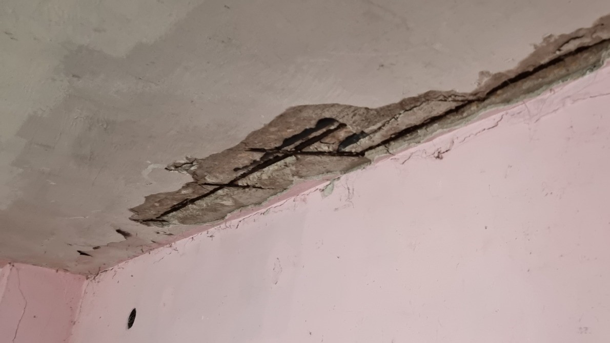 WhatsApp Image 2021-08-13 at 9.56.19 PM (2).jpeg